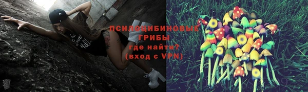 амф Куйбышев