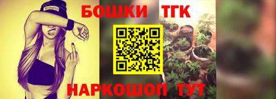 эйфоретик Аргун