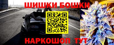 шишки Балашиха