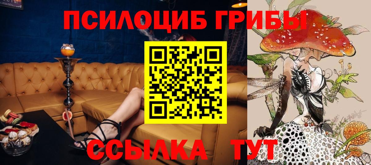 сколько стоит  Псилоцибиновые грибы MAGIC MUSHROOMS  Вход с VPN  Архангельск 