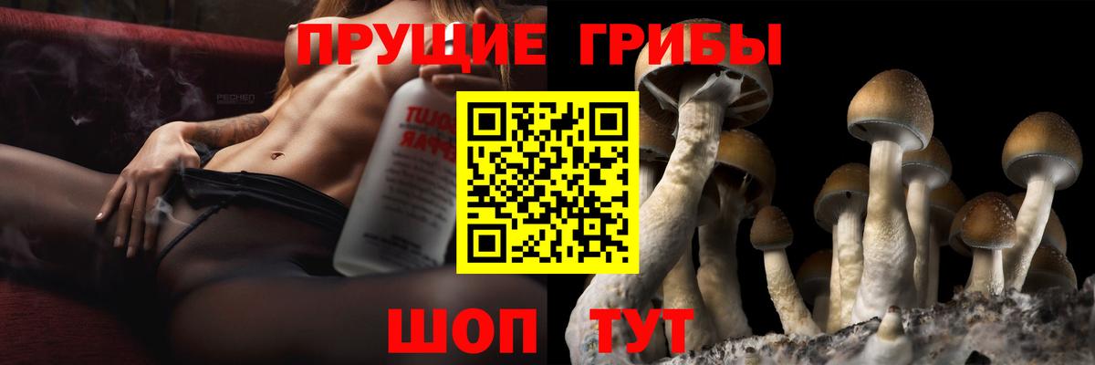 Псилоцибиновые грибы Magic Shrooms Архангельск